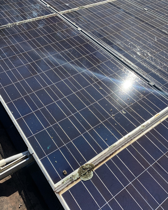 clean solar panels