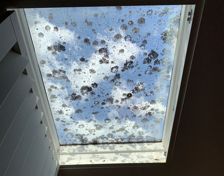 dirty skylights